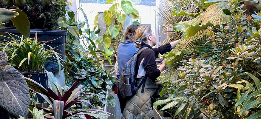 Visitors to the UW Biology Greenhouse, surrounded by plants.