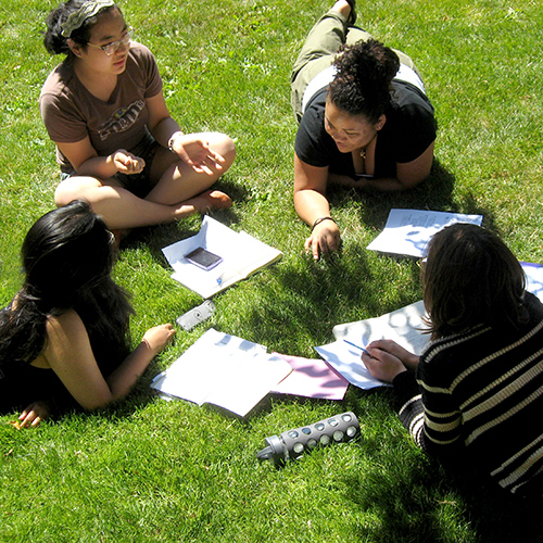 Students studying on green lawn on campus.
