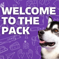 Text: Welcome to the Pack; Visual: Purple background with school-themed illustrations and University of Washington mascotDubs on the right.