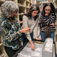 Three people examining artifacts at a Burke Museum collection