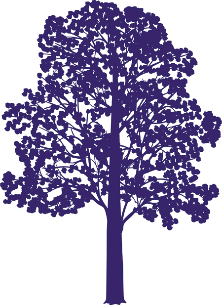 Purple Tree