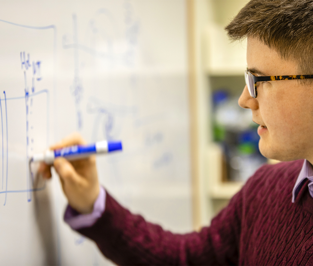 A student calculating mathematical models at a whiteboard