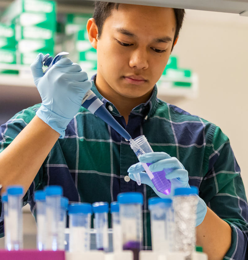 One student pipes purple liquid into test tube.