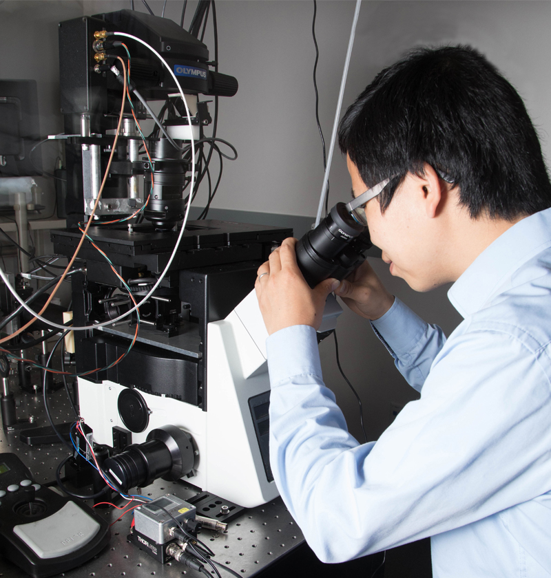 Person with glasses looks into large microscope.