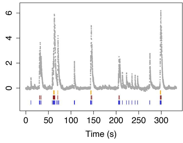 Neural spike train from Jewell & Witten (2018)