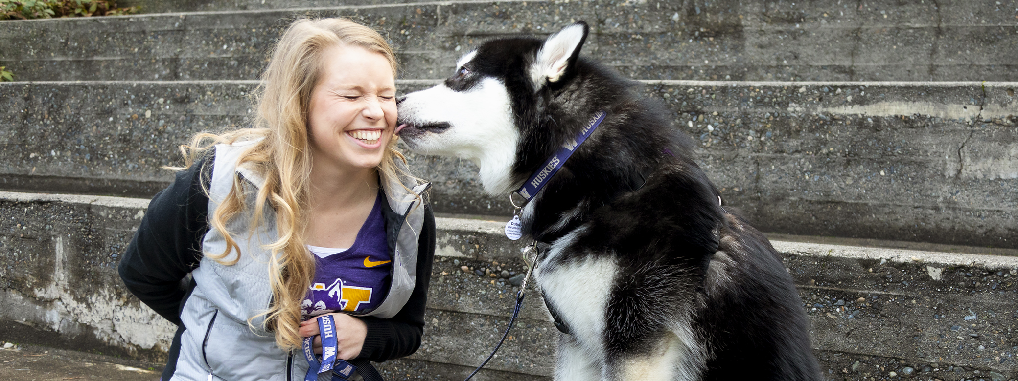 Husky licks a smiling person's face.