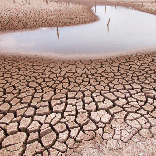 A dried and cracked pond bed with only a little bit of water in it. 