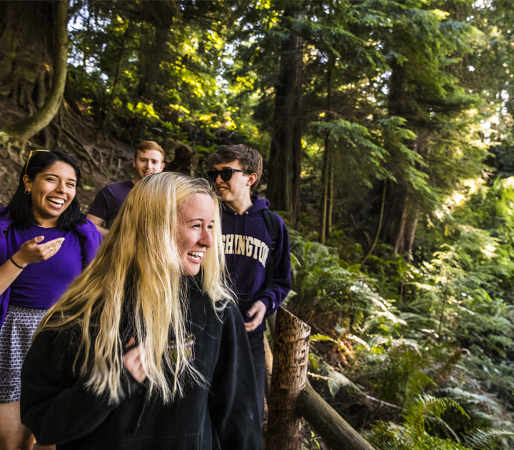 A group of four students hike through a forest.