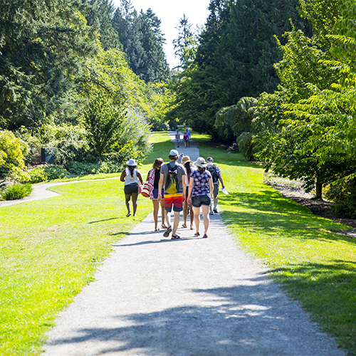 Students walking in the UW Botanic Gardens.