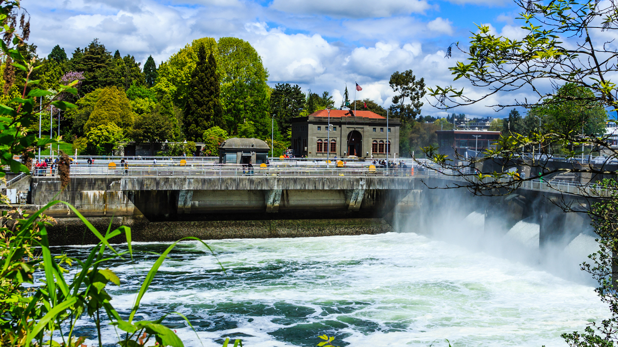 Fish Ladder and Ballard Locks