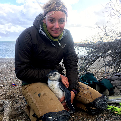 Photo of Anna Sulc holding a penguin.