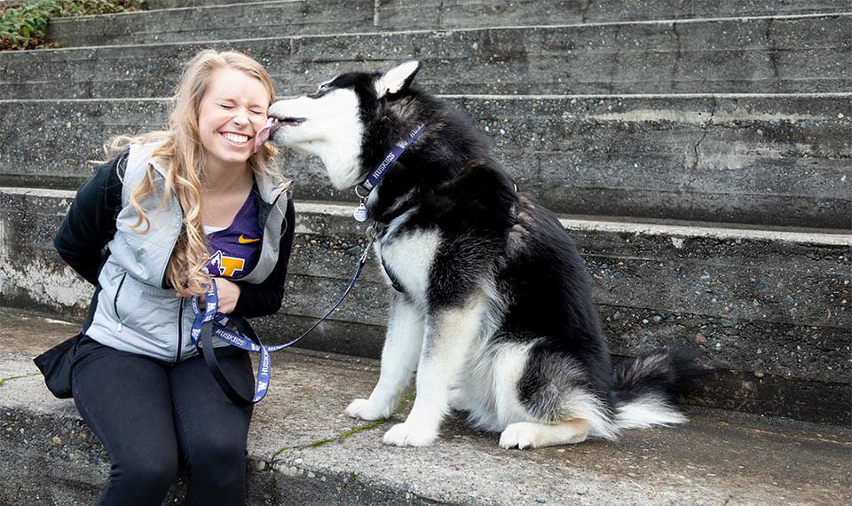 Student being licked in face by Dubs the husky