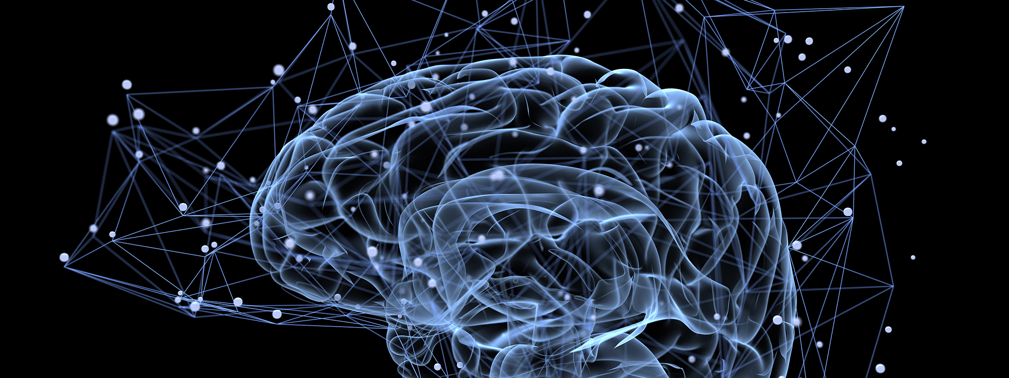 illustration of brain wiring lit up against black background