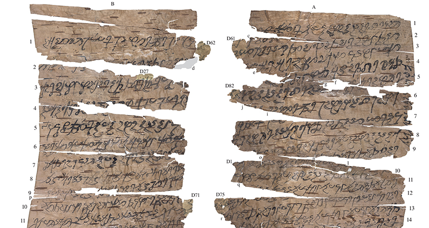 Fragments of ancient Buddhist manuscript on birch bark.