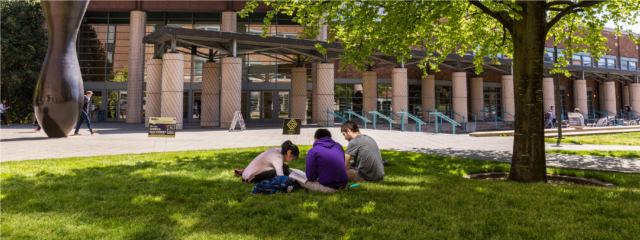 Students sitting under a tree on UW Seattle campus