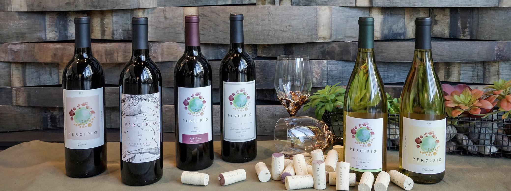 row of six bottles of Percipio wine