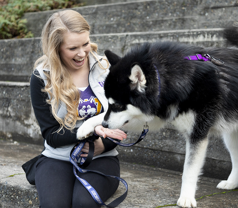 Woman plays with Malamute on cement stairs