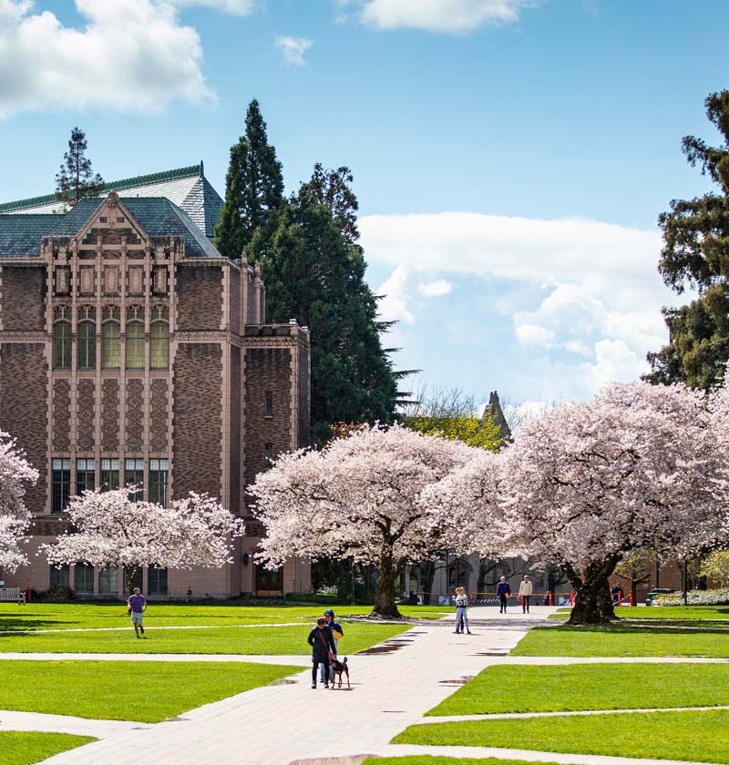 UW Seattle Campus Quad during spring