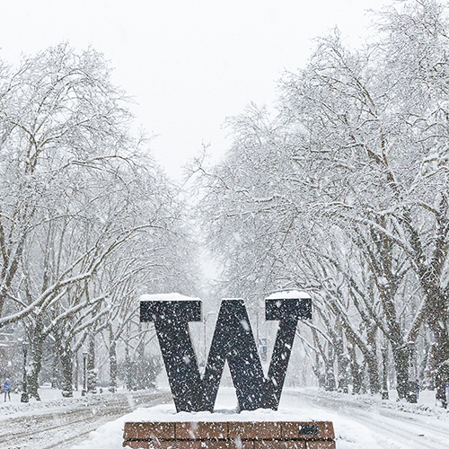 W sign at campus entrance on a snowy day