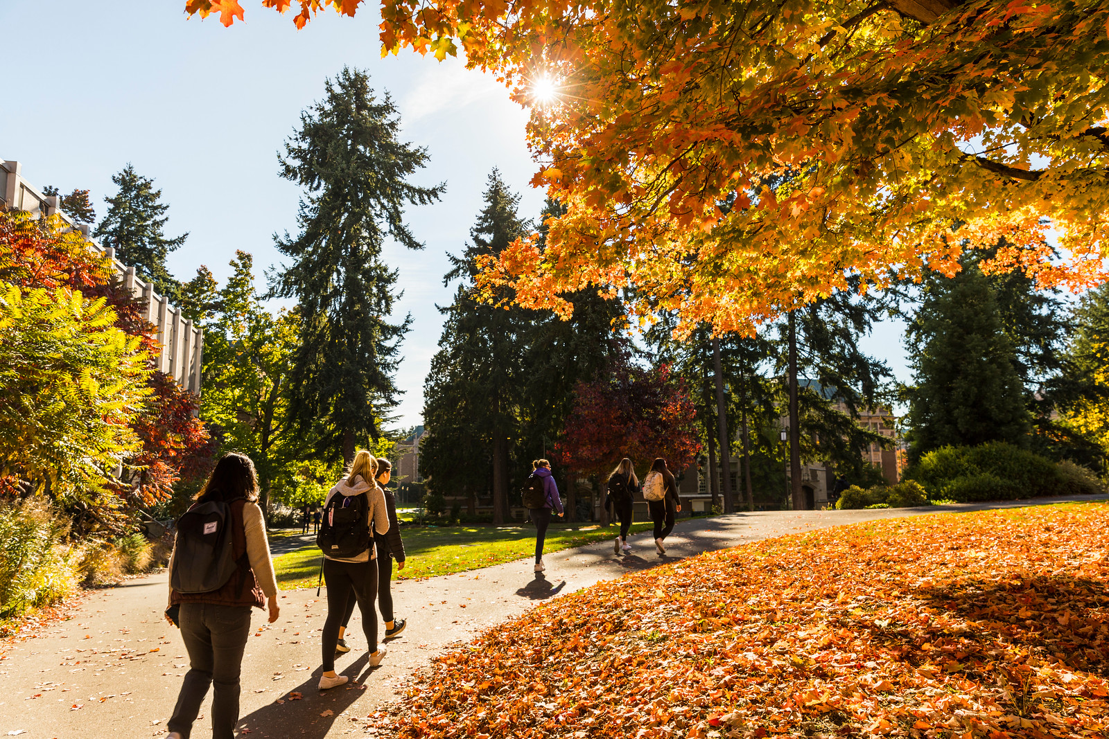 Students walking across campus in autumn