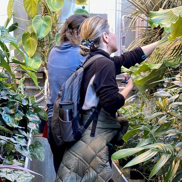 Two women looking at plants in the greenhouse