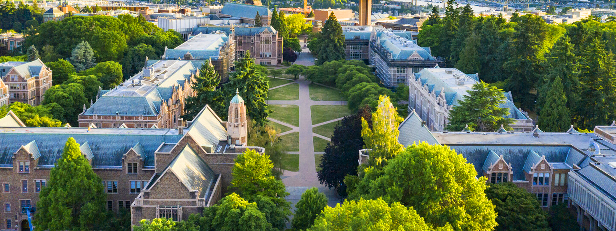 The University of Washington Liberal Arts Quad