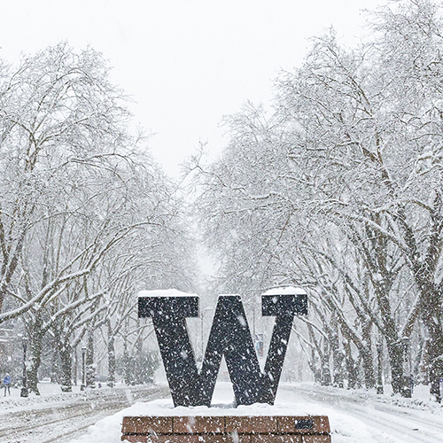 Entrance to campus with W sign on a snowy day.
