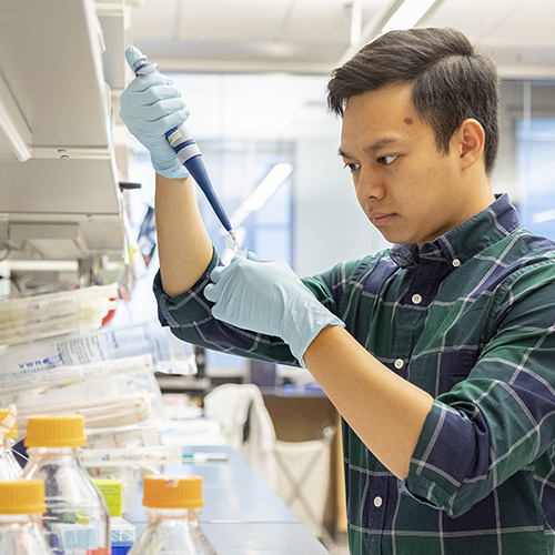 Thomas Khuu working in a lab setting, 