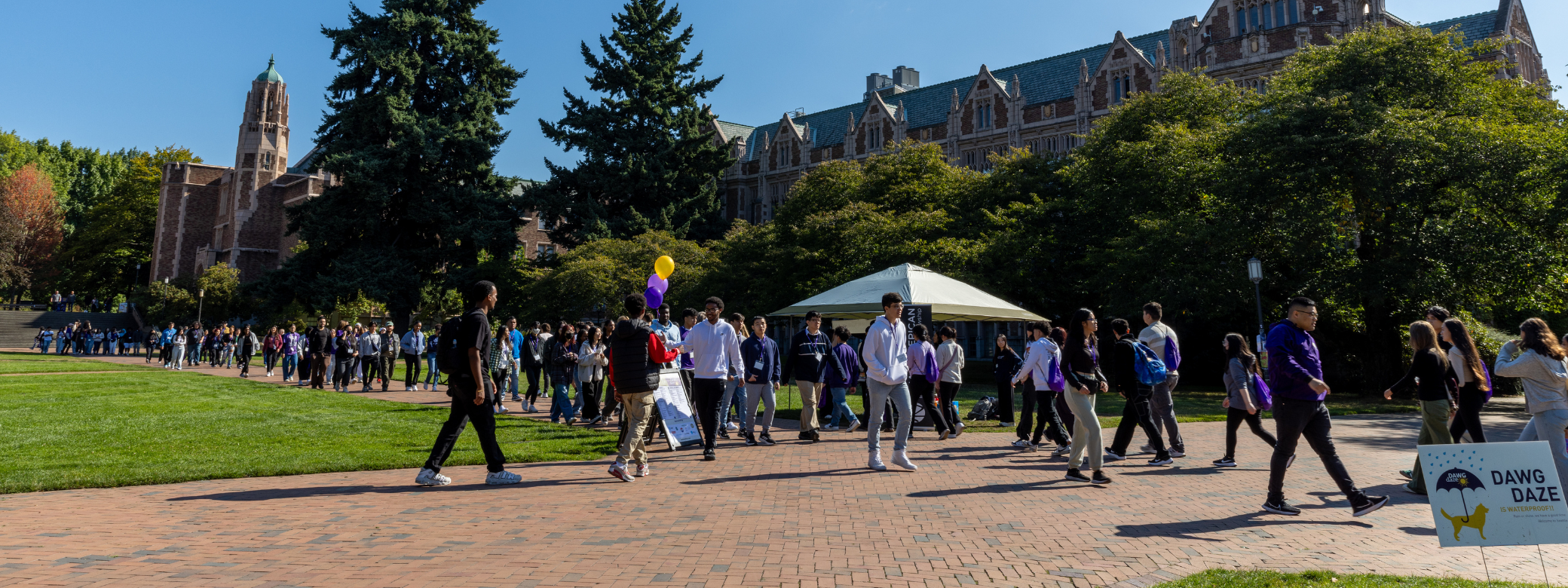 Dawg Daze 2023 in the Quad