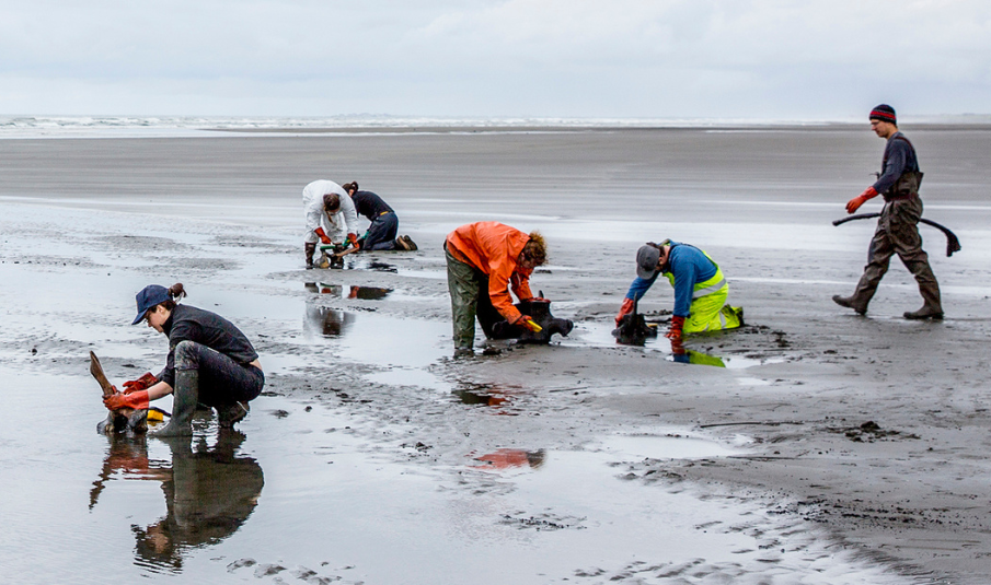 Students researching in the field