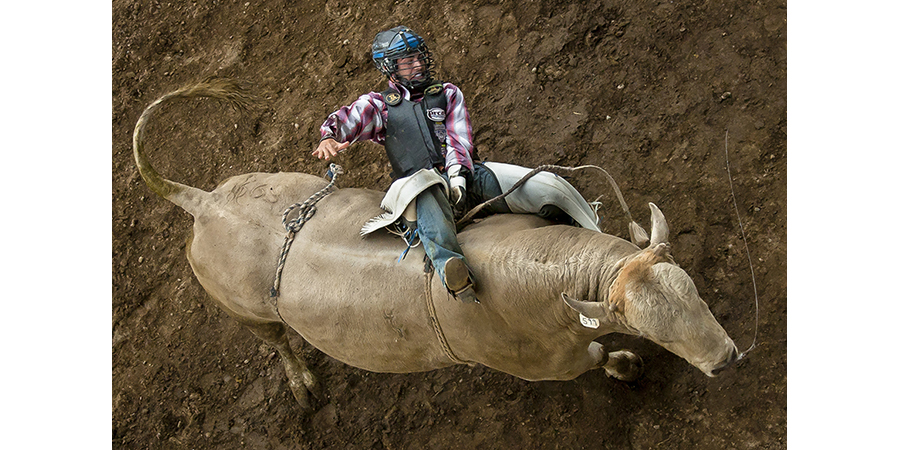 A rodeo bull rider during competition.