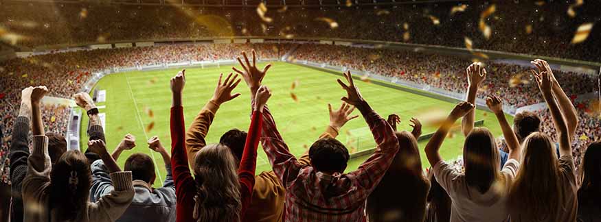 Fans cheering at a soccer game in a large stadium. 