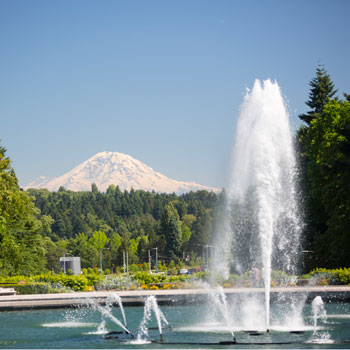 A view of Mount Rainier from Rainier Vista