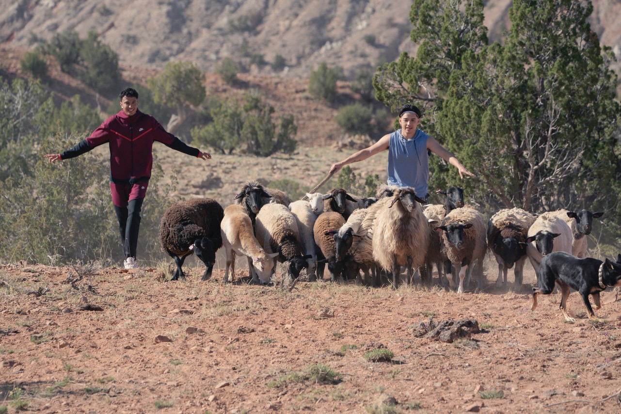 Two young men on the Navajo Nation reservation trying to herd sheep.
