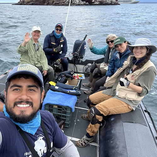 A team studying Galapagos penguins crosses the water in a small boat. Six people are visible in the boat.
