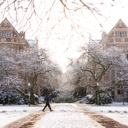 UW quad in the winter, with snow dusting the ground and the trees.
