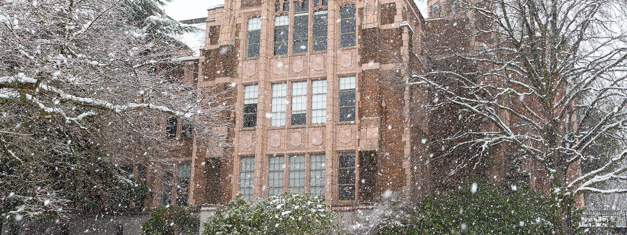 Snow falling on UW Seattle campus