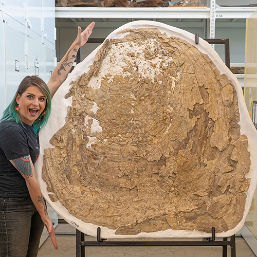 A woman stands next to a giant clam that is taller than her fully extended arms. 