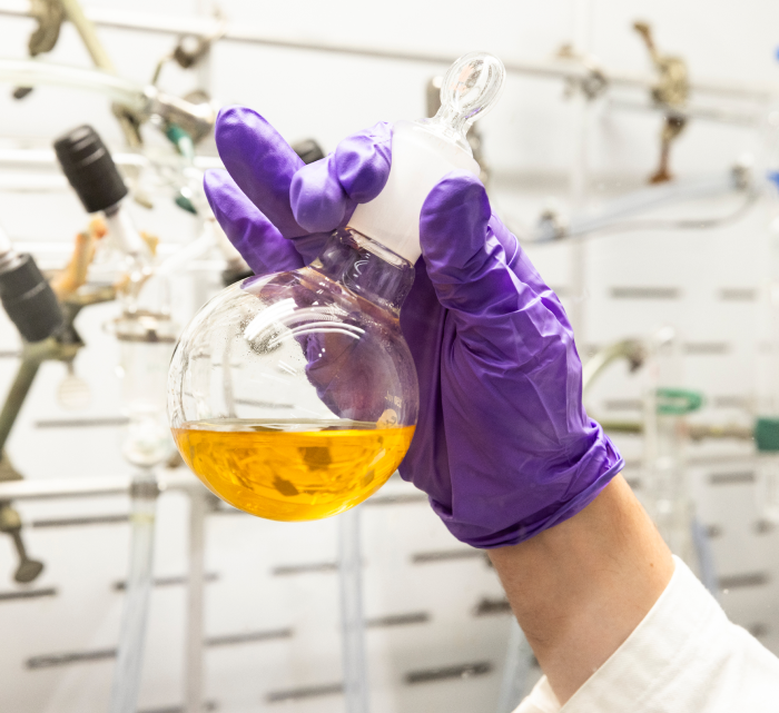 Gloved hand holding a glass beaker filled with liquid