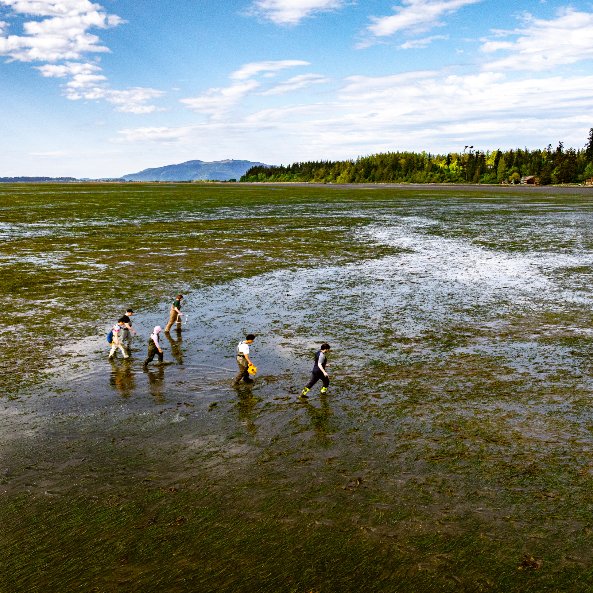 Five people walking through a wetland area