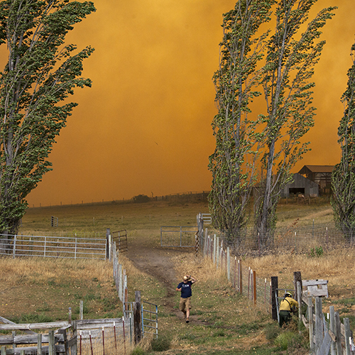 An bright orange sky behind trees during a wildfire in Eastern Washington
