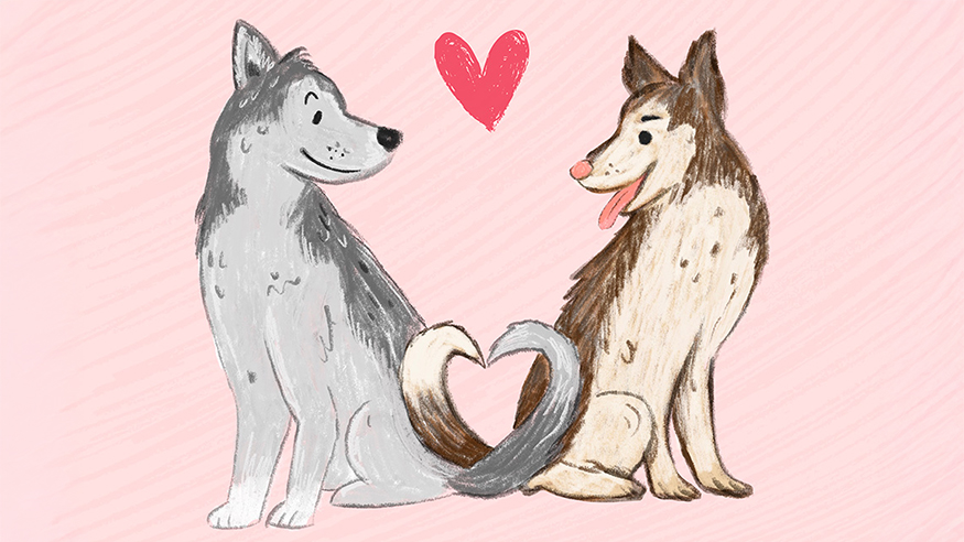 Illustration of two Husky dogs looking at each other, with tails curled to create a heart shape.