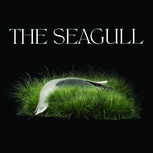 Artwork for production of The Seagull with a dead bird on green grass