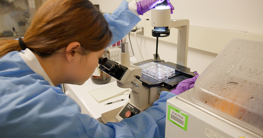 Victoria Pang looking through a microscope in a chemistry lab. 