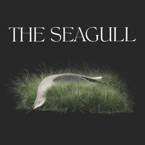 Visual for the UW School of Drama's showing "The Seagull"; Visual: Graphic with white text “THE SEAGULL” above an illustration of a stylized seagull flying low over green grass on a dark background