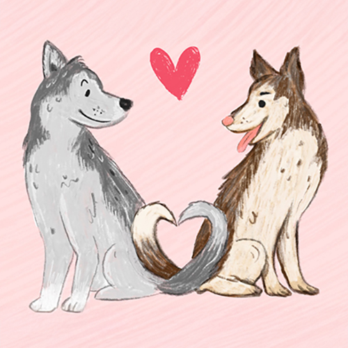 Illustration of two Husky dogs looking at each other, with tails curled to create a heart shape.