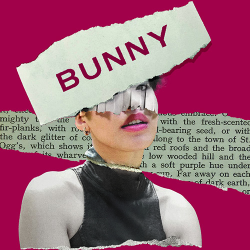 Bunny play - publicity artwork
