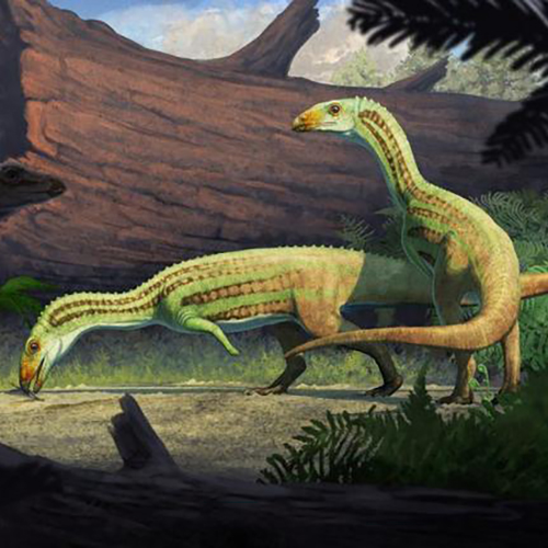 Drawing of prehistoric reptilian creatures grazing