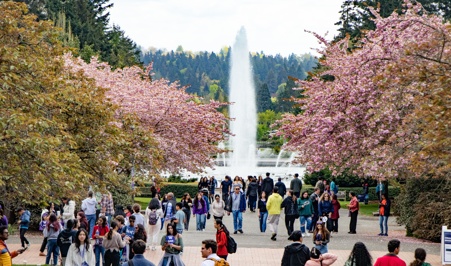 Students and families walking by the Drumheller Fountain on the University of Washington Seattle campus during Admitted Student Day