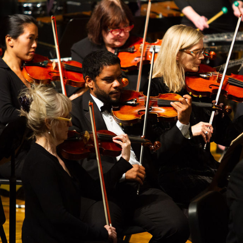 Seattle orchestra Harmonia (Photo: Shaya Lyon)